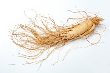 ginseng root herbal medicine